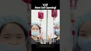 STEM CELL LAUNCHING @ VLIF!