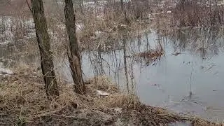 2022- Rapid snow melt,  at the driveway