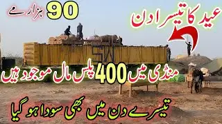 Eid Day 3 Northern Bypass Mandi Karachi Latest Rates & Bargaining 9 Jun 2025 | Bakra Eid Season 2025