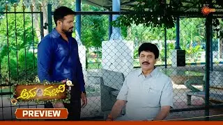 Anu Pallavi - Preview | 22 Nov 2025 | Kannada Serial | Udaya TV