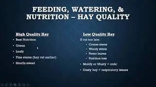 Silver Springs Pony Club C Level Nutrition PowerPoint presentation