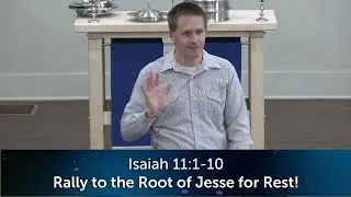 Sermon Rally to the Root of Jesse for rest! Isaiah 11:1-10 12/7/2025