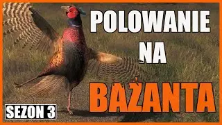 Polowanie Na Bażanta - The Hunter Classic [S3]