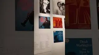 A Must-Visit: The National Museum of African American History!