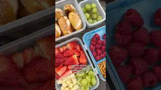 Snackbox f&uuml;r die Kinder 🍓🍇🧀🥨 Kleiner Ausflug ins Vivarium 🦉