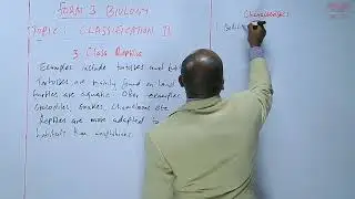 Класс Рептилии _L23