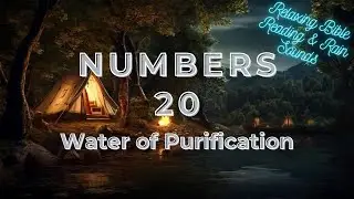 Numbers 20 &ndash; Water of Purification | Relaxing Bible Reading & Rain Sounds