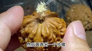 核桃封底Walnut back cover|hand carved