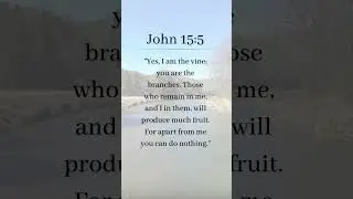 Bible verse of the day - John 15:5 #bible #biblepassage #biblestudy #bibleverse #bibleverses #Jesus