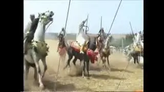 sfassif 2014 FIJTA DE LALLA SFIA