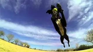 Astropitch  - Better Ideas (are flying dogs)