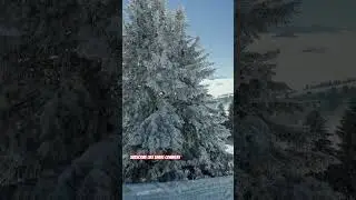 Ankunft in Rigi Kulm!! #rigi #switzerland #shortvideo #luzern