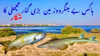 hawkes bay karachi! hawkes bay fishing! mengroves fishing karachi
