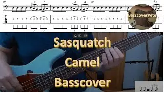 Camel Sasquatch. Bass Cover Score Tabs Chords Transcription