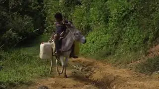 Infrarrojo, Tulapas: el éxodo de los Gómez