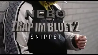 Nebo49 - Trap Im Blut 2 Album!! (Official Snippet Video Prod. by Dezhign)