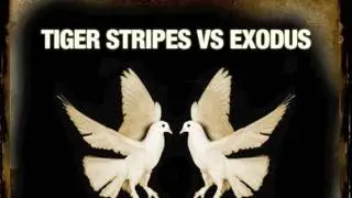 Tiger Stripes vs Exodus 'Together Forever (Make It House)' Main Mix