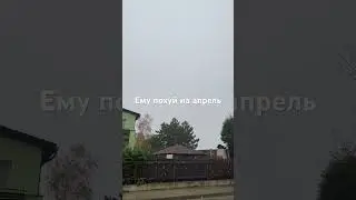 Ему похуй на апрель #music #апрель
