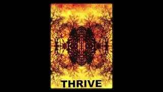 Blacktop Mojo - Thrive