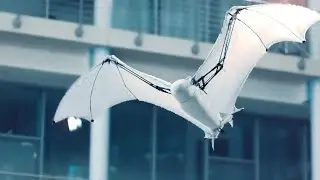 6 AMAZING ROBOTIC ANIMALS YOU MUST SEE!
