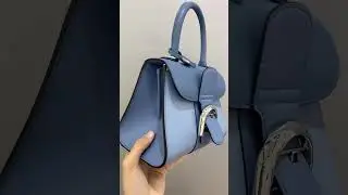 #delvaux #delvauxbag #delvauxbrillant  #delvauxbrillantmini  #delvauxoptiktok