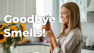 How to Remove Bad Odors From Your Home Naturally