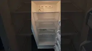 20 Cu. Ft. Upright Freezer Demo | Real-Time Cooling Test & Interior Walkthrough
