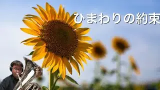 秦基博　ひまわりの約束をTubaで演奏してみました🌻