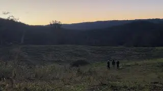 Gold Coast Multi Day Great Hinterland Walk