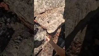 No free nut for me. Press play above for full videos of 6 #gunks #freesolos