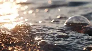 Golden sunset sand beach close up and wave, slow motion | Free stock footage