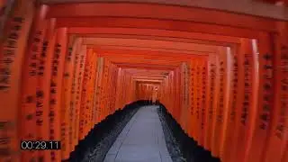 Race in Shrine | RACE IT