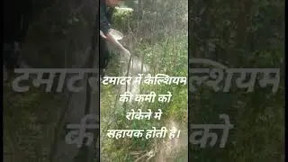 #naturalfarming #woodash #gonatural