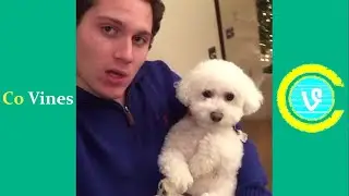 Top Vines of Quincy (w/Titles) Funniest Quincy Vines 2021