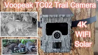 Voopeak TC02 4K WIFI SolarTrail Camera Review #trailcam