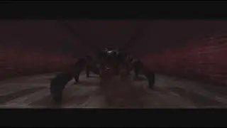 The Spider is among us (Mental)