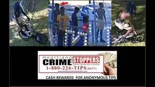 Crystal Lake Elementary bike theft (Lakeland)