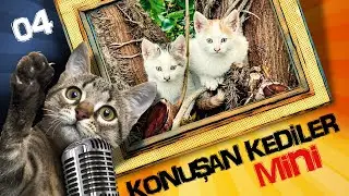 Konuşan Kediler Mini 4 - En Komik Kedi Videoları