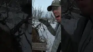 Outdoorboys survives Alaska #fyp #foryoupage #alaska #outdoorboys #camping g