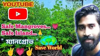 Safe Mangroves 💗 Save World 🙏💗🙏 #beautyofnature #andaman #nature