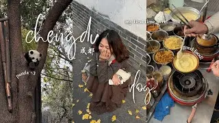Моя первая поездка в Чэнду 🐼 Панды и еда, к которой я не была готова ( ˶&deg;ㅁ&deg;) !!
