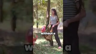 Professional Durian Catchers