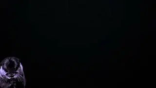 NIN Closer Jam (cover) on Roland T-8 & J-6