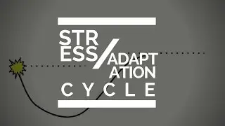Becoming A Runner: (censored) Stress / Adaptation Cycle