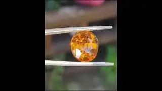 RARE COLOUR FOR ORANGE SAFIR FROM SRILANKA 12.6 KARAT DM IG KAFEEL GEMS FOR INFO