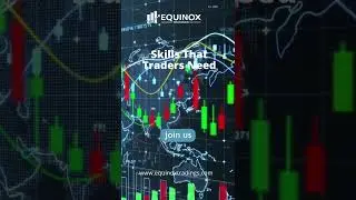 Equinox Trading's Platt Form