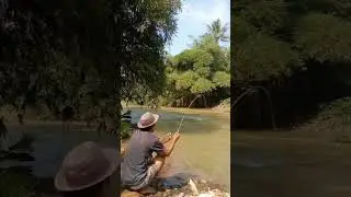 Spot potensial untuk mancing ikan hampala#mancinghampala #strikehampala #spothampala #spotpotensial