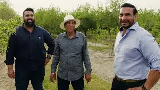 Heritage of the California Almond Industry