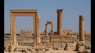 Saving Palmyra