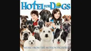 My New Best Friend - Hotel For Dogs